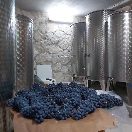 Apartman Genova Imotski Donji Vinjani Buitenkant foto